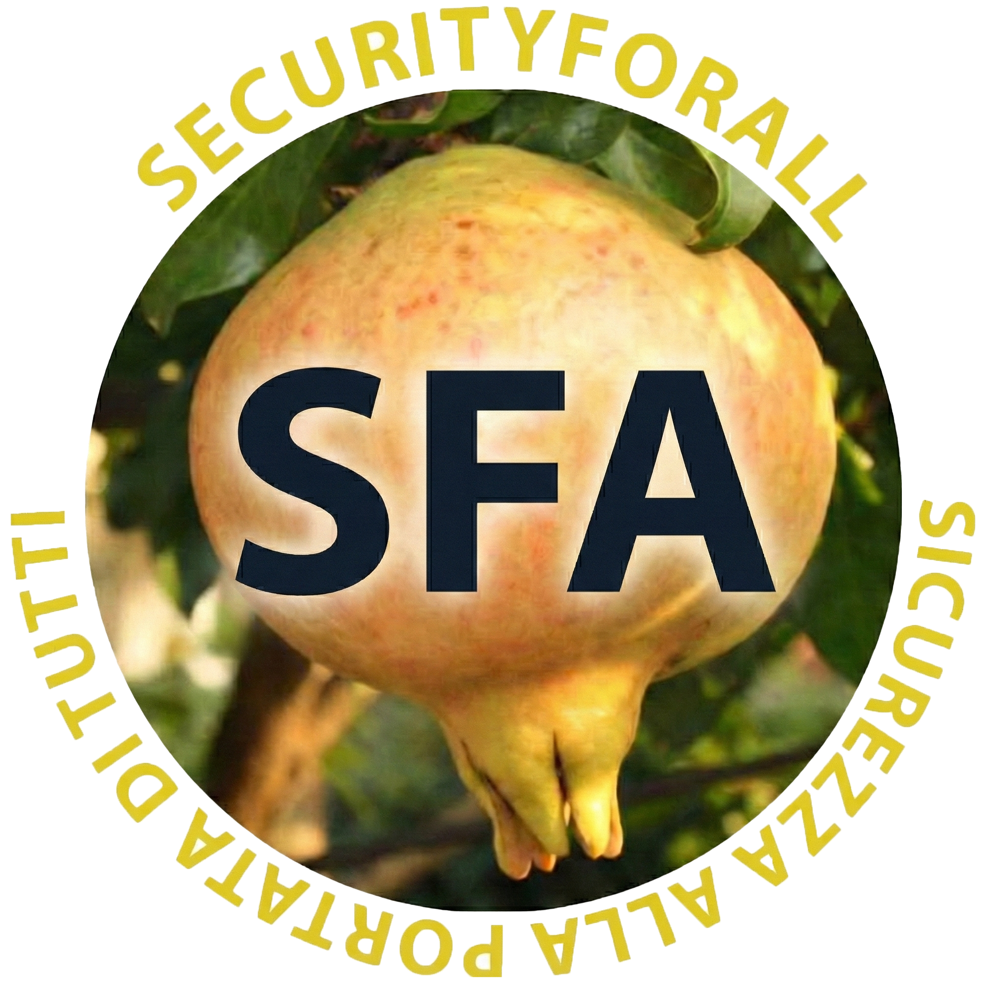 Logo SecurityForAll